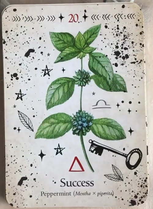 Green Witch Oracle